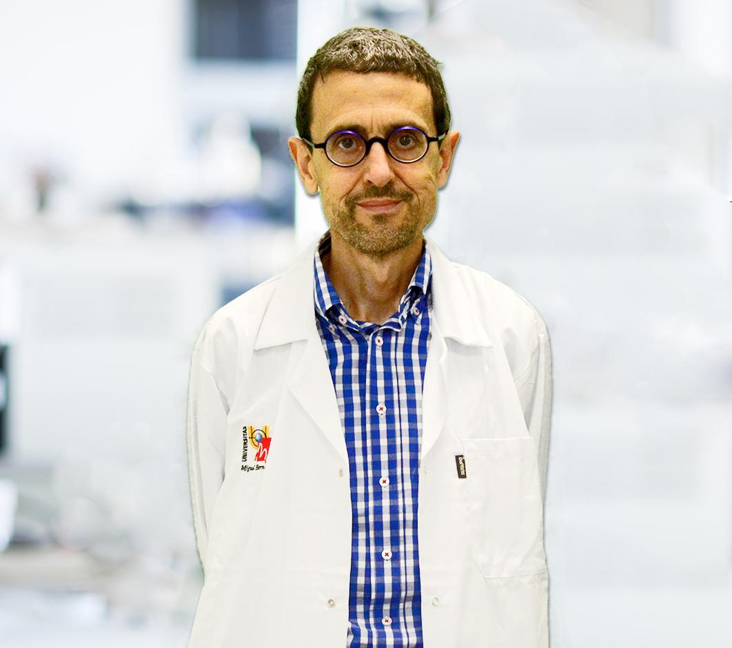 Dependencia científica en estudios de salud por Jose Manuel Ramos Rincón Medicina Clínica UMH
