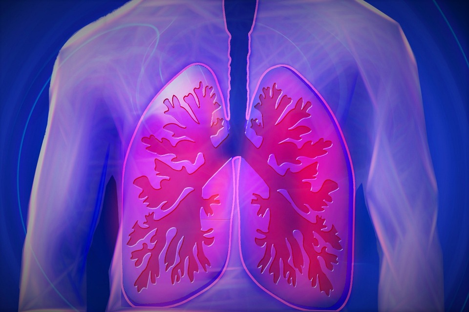 Cátedra UMH sobre EPOC pulmones dolencias