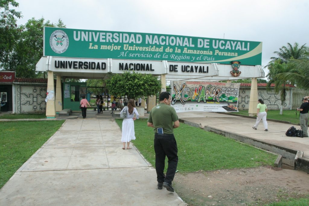 Universidad Nacional Amazonía Peruana proyecto de formación UMH de profesionales sanitarios de Perú 